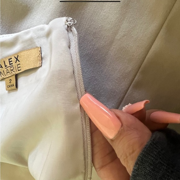 Alex Marie | Campagne Classic Career Pencil Skirt 4 - Picture 12 of 16